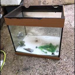 Cube fish tank new Whittington Collection only 