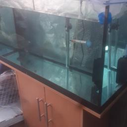 125L aquarium, New 300w aqua one heater,fluval u2 internal filtre, , aquarium background,
