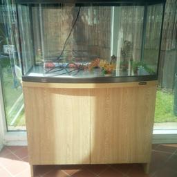 Large fish tank and stand aquastart 900 aqua one 
Bow front aquarium
Lights unit is built into hood 
165 litres 
Tank 40x90x58cm
Cabinet 40x90x76cm
Cabinet oak colour 
Some oraments with tank 
Please see photos 
Please note 
will need new lights on one side I have not used them had my own lights 
No filter or heater 
Need a big car to collect I am not taking the cabinet apart 
Must collect b14 kings heath 
Many thanks