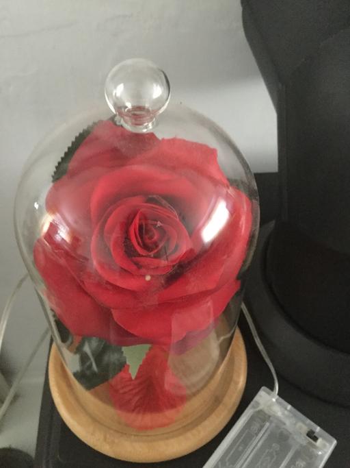 Buy & Sell Essex Harlow - Photos for Stunning light up bell rose