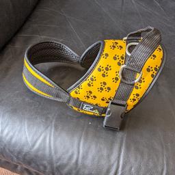 yellow and black harness fit medium sized dog
collection only