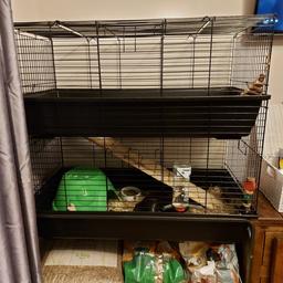Anybody interested in this? 
*cleaned out and stored ready to go"

Double layer guinea pig/ rabbit cage.
Literally brought last week for Teddy and he hates it so gone back to his old cage 🤦🏼‍♀️
Just want what I paid for it.
Comes with a few bits and bobs inside.