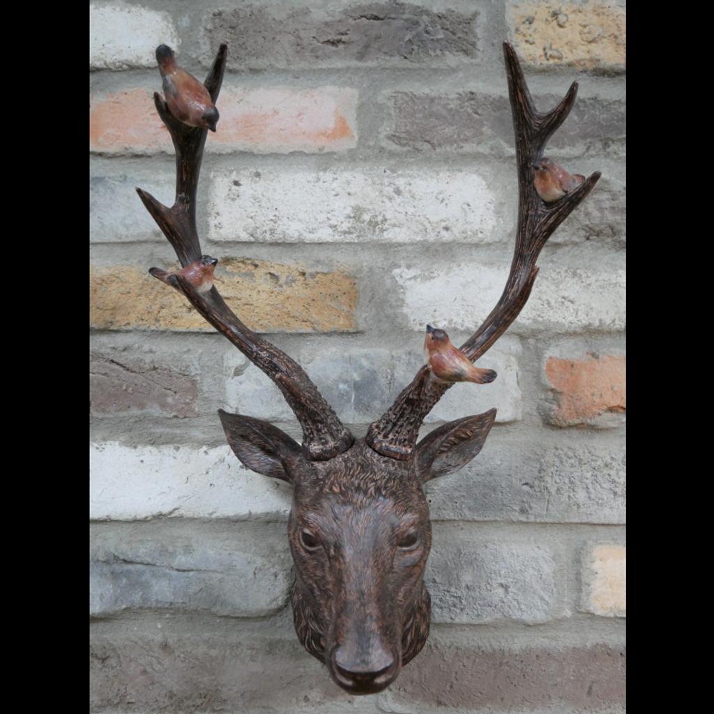 Stag Head with Birds in S62 Rotherham for £38.00 for sale | Shpock