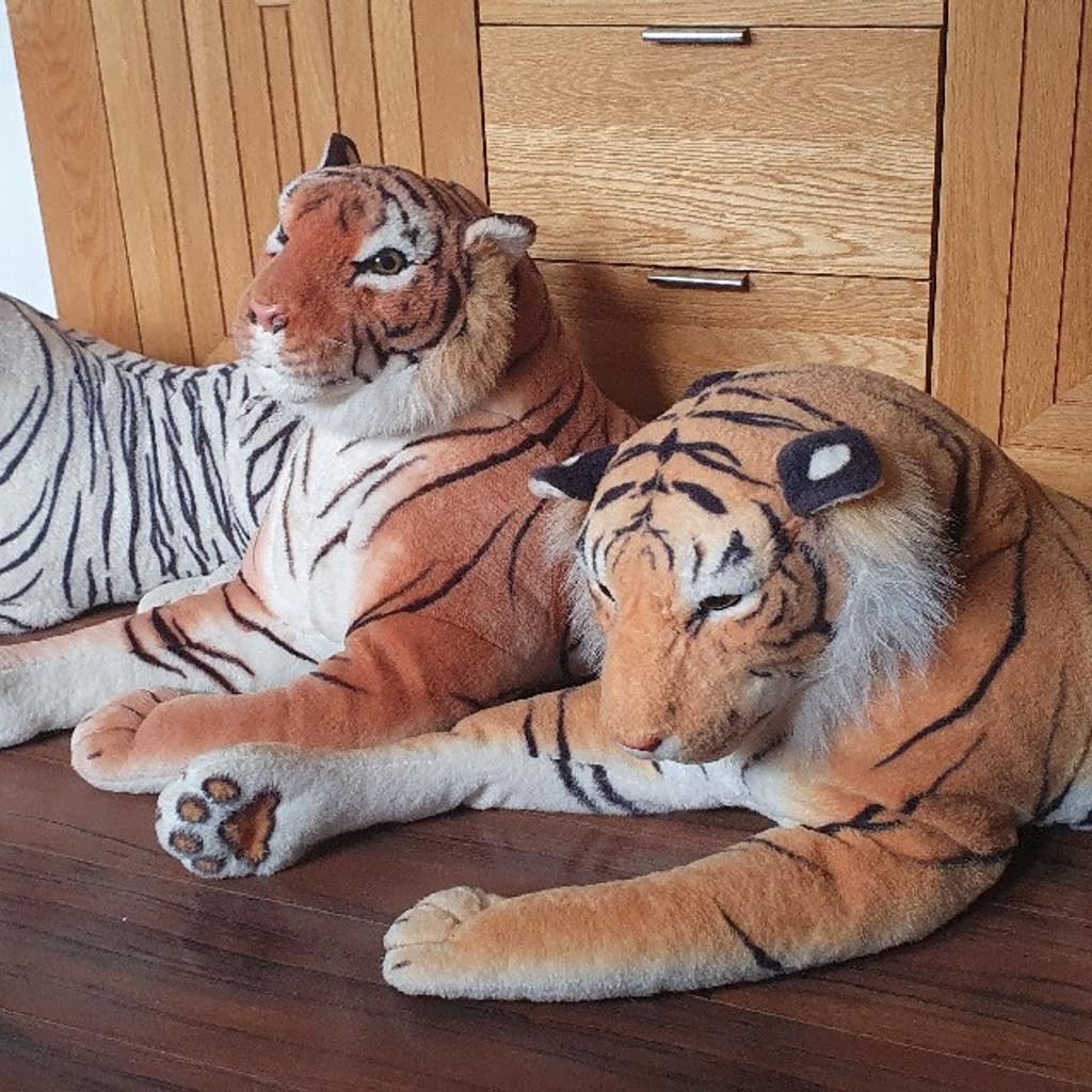 tiger in B37 Solihull for £10.00 for sale Shpock