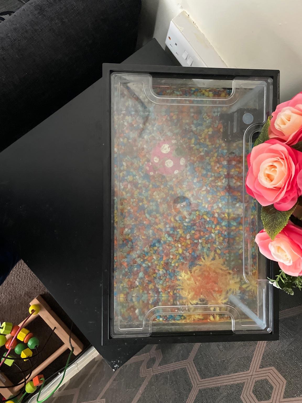 24-litre-fish-tank-in-b5-birmingham-f-r-35-00-zum-verkauf-shpock-de