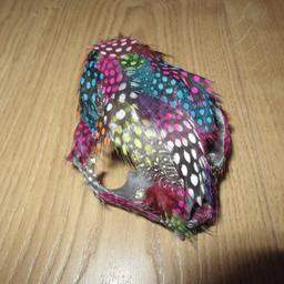 Please see my other listings!

3D Printed Cat Skull
With Multi Coloured Guinea Fowl Feathers & Multi Faceted Crystals
Cute Desk Object
Nice Gift For Loved One
Approx Dimensions:
L 11 x W 9 H 6.5cm
licence no. 2720069
Cash on collection only PR2 Preston. 
No postage, no offers below my stated price please.