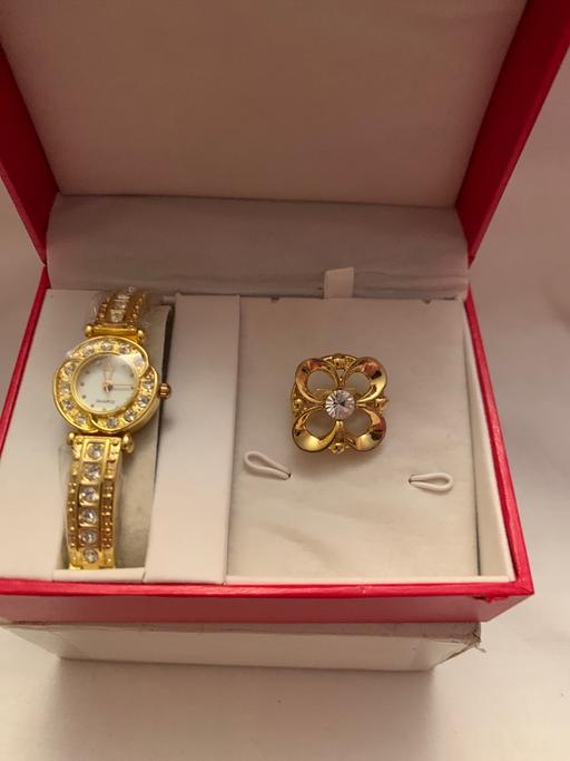 Buy & Sell Caerphilly - Wales Wernddu - Caerphilly - Photos for GIFT Lady’s watch and Brooch