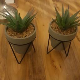 2 plants for £2.50
