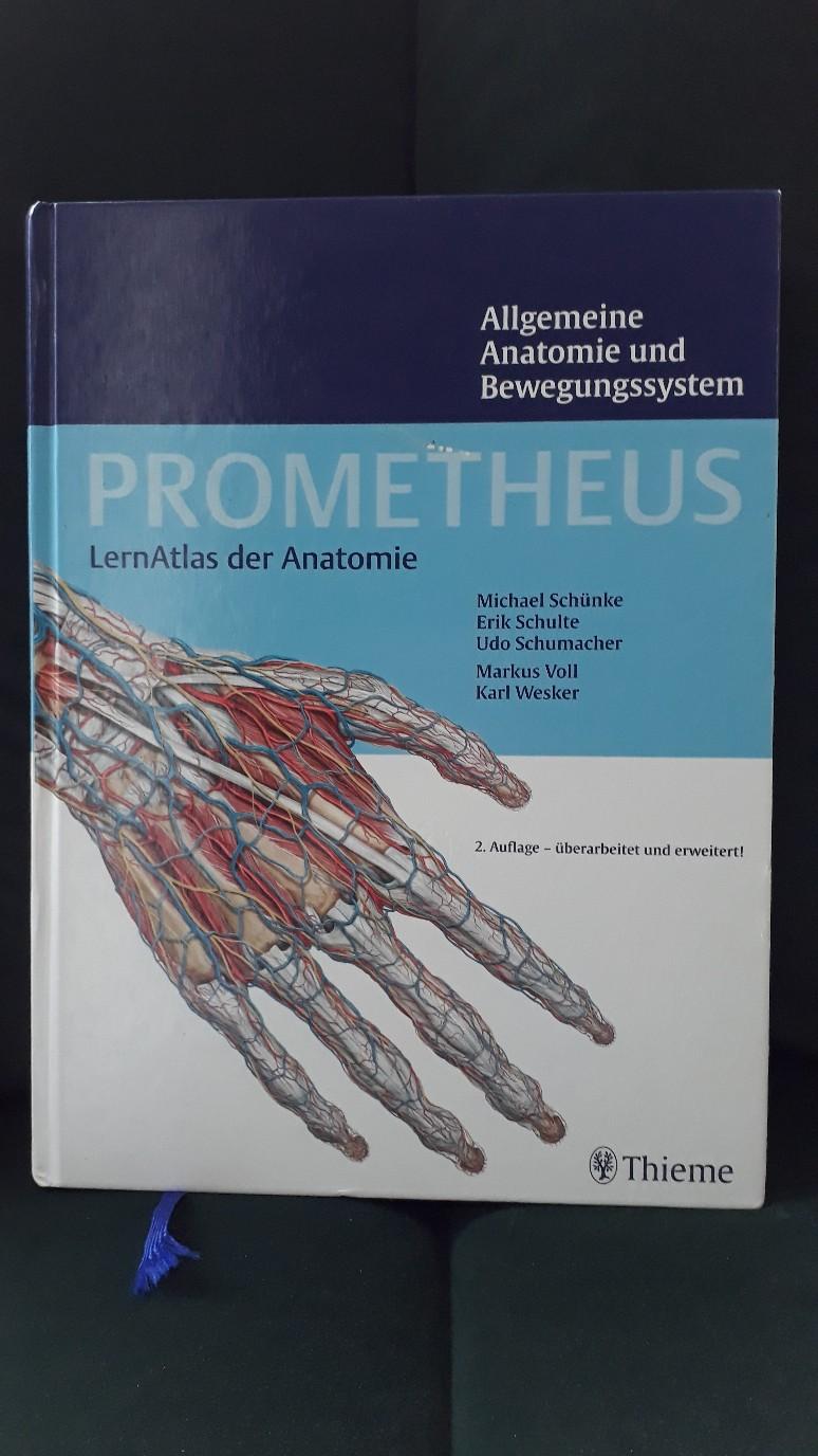 PROMETHEUS Allg. Anatomie Und Bewegungssystem In 41462 Neuss Für 50,00 ...