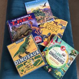 A collection of 5 dinosaur reading
and activity books for dinosaur fans!
Good condition
To be collected