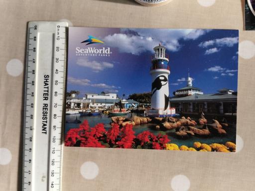 Buy & Sell Nottinghamshire Mansfield - Photos for Seaworld Postcard Orlando