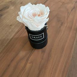 Verkaufe sehr schöne echt konservierte Infinity-Rose in der Farbe Blush/peach in schwarzer Box.

Ideal als wunderschöne Deko!