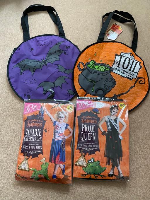 Buy & Sell Wiltshire Swindon - Photos for Halloween outfits & bags