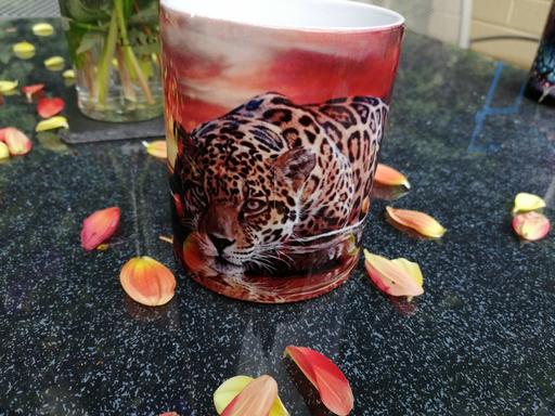 Buy & Sell Newport - Wales Bettws - Newport - Photos for Mug with tiger