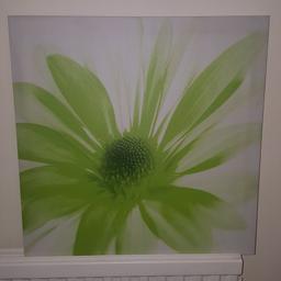 Canvas Picture 
Green flower
Great condition 
50cmx50cm
I have 3 canvases happy to sell as a group