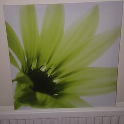 Canvas Picture 
Green flower 
48cm x 48cm
Good condition