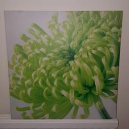 Canvas Picture
Green flower
48cm x 48cm
Good condition
I have 2 others I'm happy to do a job lot sale.
Open to good offers.