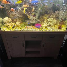 4ft fish tank what you see is included with fx4 filter