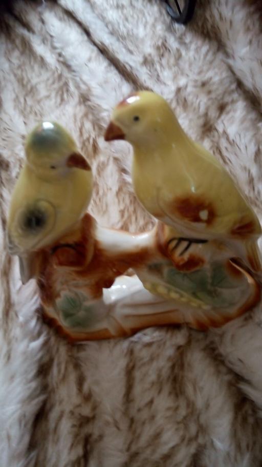 Buy & Sell West Midlands Dudley - Photos for orniment bugies