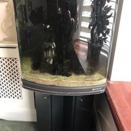 Boyu marines fish tank good condition,120Lcontain internal filters systems,heater , pump , light stand with cupboards.