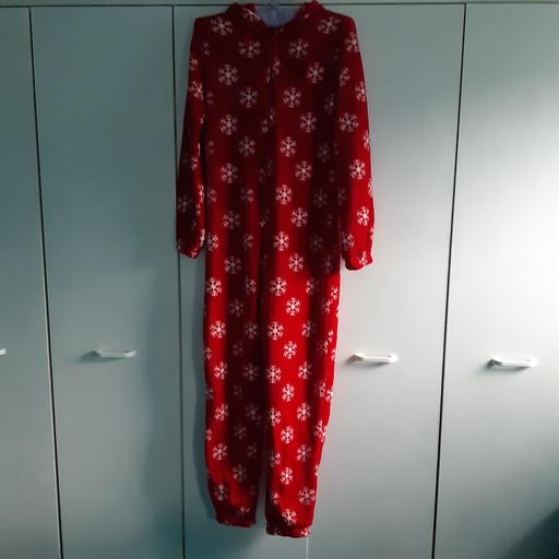 Buy & Sell West Midlands Birmingham - Photos for Ladies/girls Xmas Onesie.