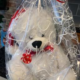 Large white Christmas bear Dudley dy12jn