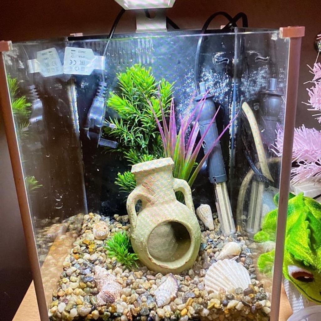 10 litres Fish Tank Set with BN HeaterFilter in B31 Birmingham for £50.00 for sale Shpock