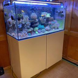 Verkaufe ein komplettes Meerwasseraquarium der Firma Red Sea
Das Aquarium ist komplett mit Technik und Inhalt zu verkaufen, diverse Mittel zum betreiben gebe ich auch dazu…
Über den Preis kann man vor Ort noch reden…