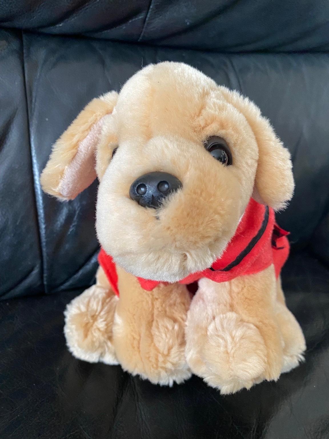 Keel toys Golden retriever plush in B71 Sandwell for £1.00 for sale ...