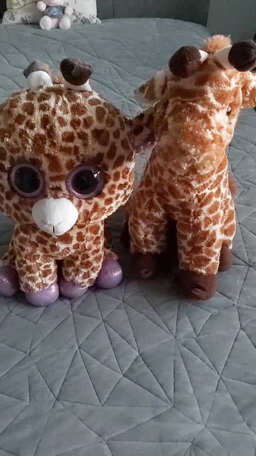 Buy & Sell Essex Southend-on-Sea - Photos for Large Giraffe soft toys