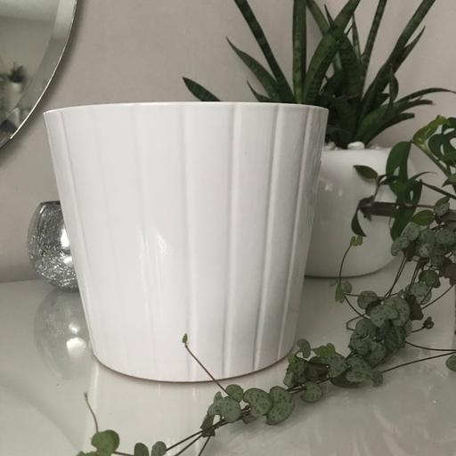 Buy & Sell Gloucestershire South Gloucestershire - Photos for White plant pot with terracotta pot inside