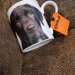Brand new Chocolate Labrador bone China mug
ideal stocking filler for labrador lover.
From smoke free home