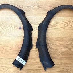 verkaufe folgende Bezoar Hörner mit 88cm Länge und 22cm Umfang, sehr schöner Schwung, ideal für Krampus oder Perchten Masken 
Bock Ziege