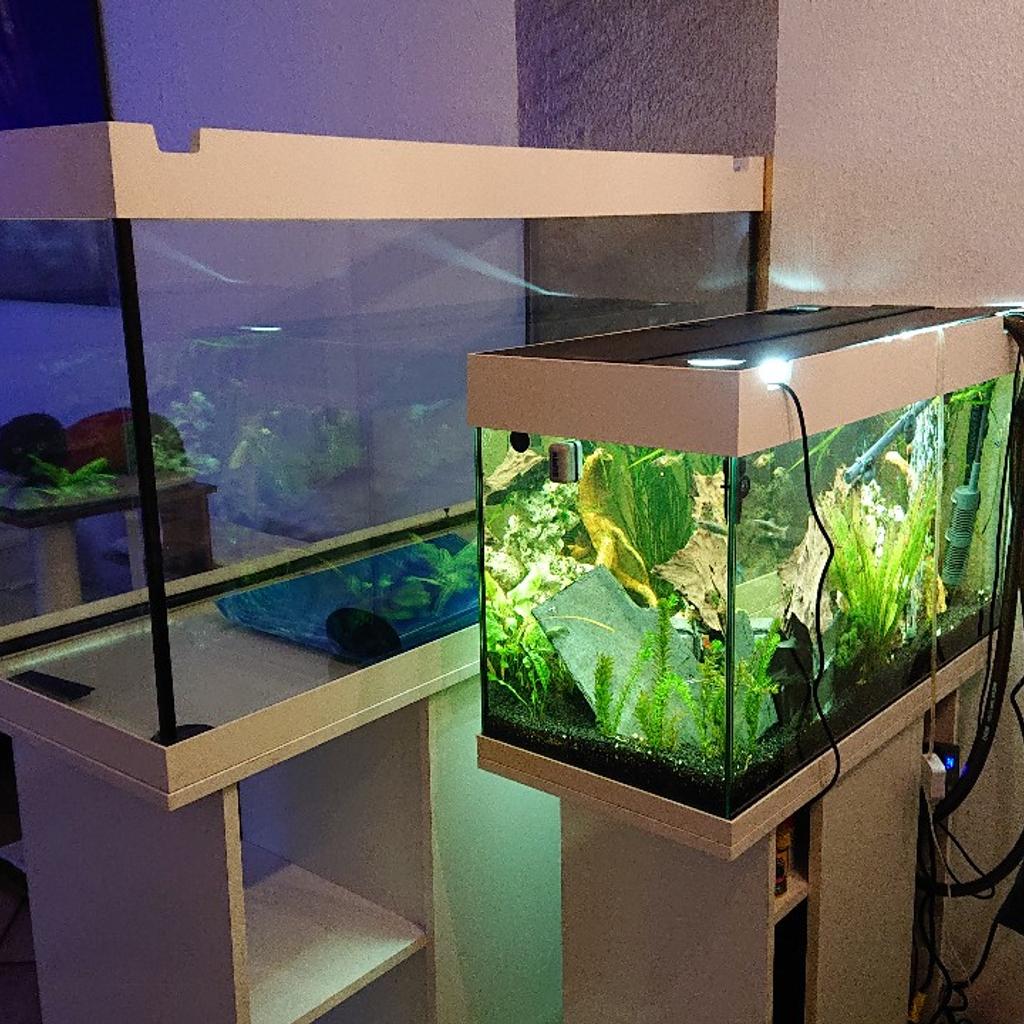 juwel aquarium mit unterschrank weiß in 74889 Sinsheim für 140,00 € zum