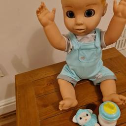 luvabella ( luvabeau )Adorable Boy Doll Interactive With All Accessories 💙🎁
lovely condition