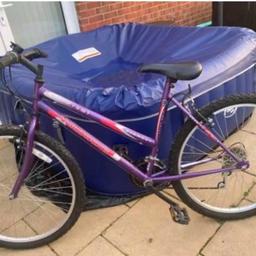 £25.00 no offers has a little rust on handlebars but will come off has good tyres