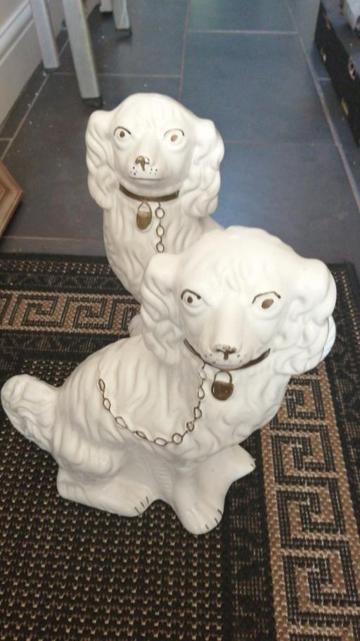 Buy & Sell West Midlands Wolverhampton - Photos for pair dogs