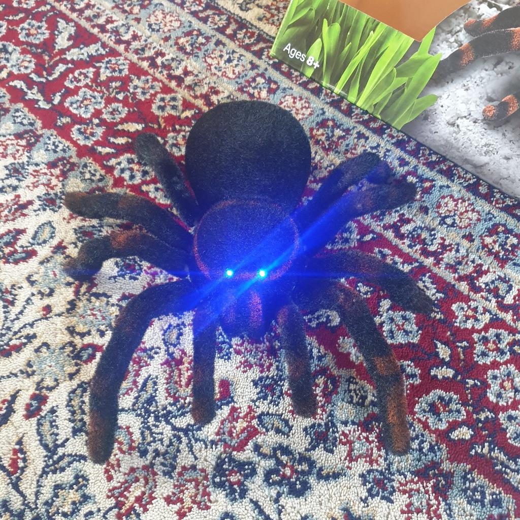 Remote controlled Tarantula 9
