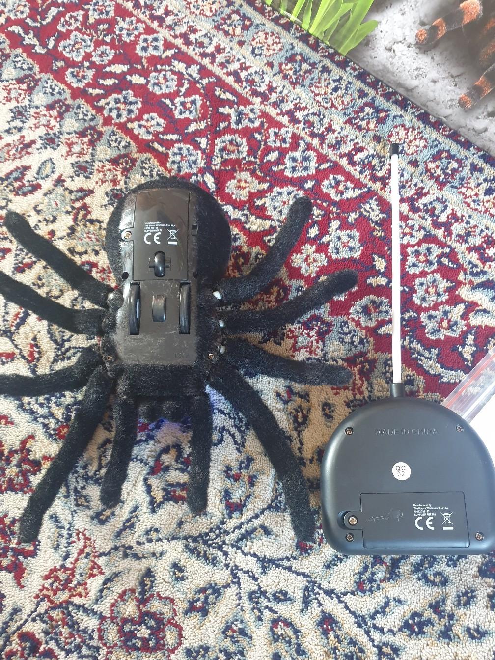 Remote controlled Tarantula 9