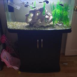 200lt tank all sealed perfectly.
comes with pump/filter
light
heater
gravel
NO DECO
