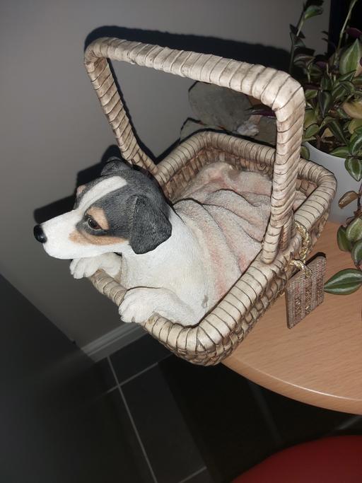 Buy & Sell Leicestershire Blaby - Photos for Jack Russell in a Basket,:please take me home