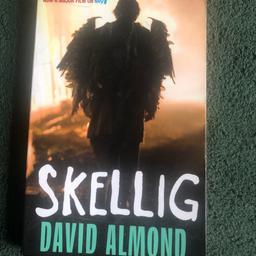 Skellig
By David Almond
Read once
Used condition