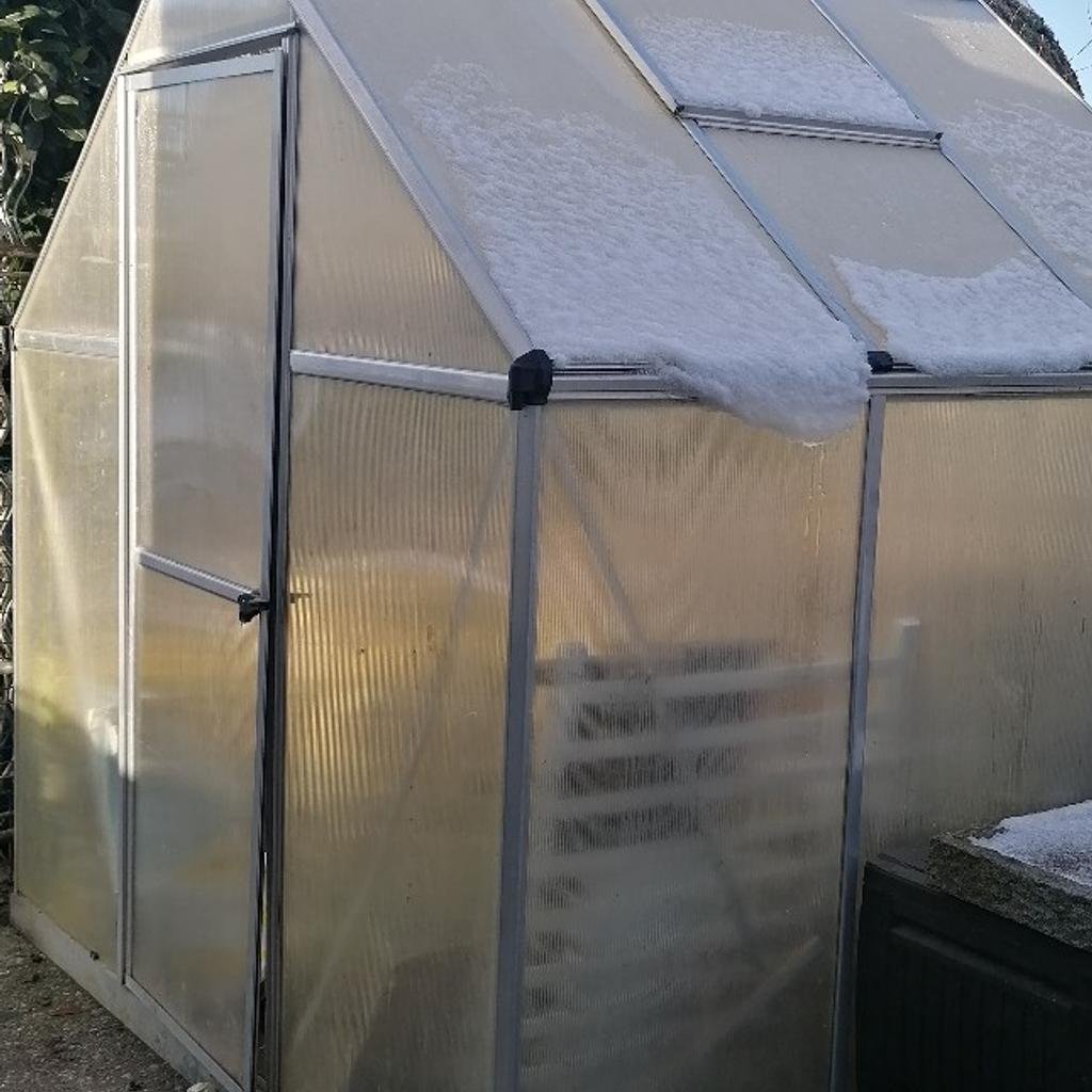 gewächshaus zum selbstabbau. in 6830 Marktgemeinde Rankweil für € 60,00