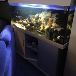5ft fish tank for sale . 
All contents included 
Any questions please ask