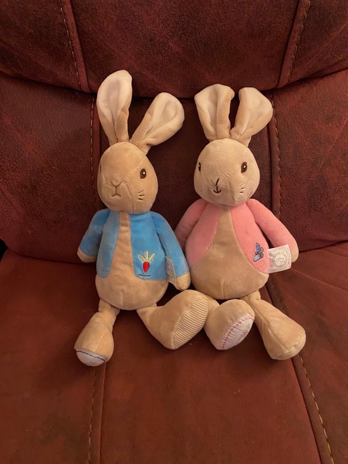 Peter rabbit genuine teddies 5 each in LE67 Leicestershire für £ 10,00 ...