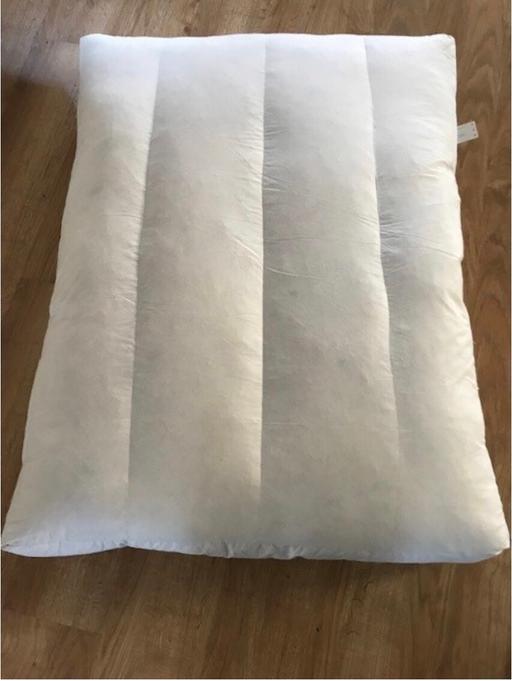 Buy & Sell South East London Crook Log - South East London - Photos for Duck Feather Sofa Cushions x 2.