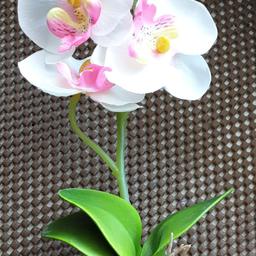 2× Orchideen
Weiß/ Pink

Höhe insgesamt 24 cm

Topfhöhe 6,5 cm

Beide zusammen ein Preis

Nichtraucher & Tierfreier Haushalt