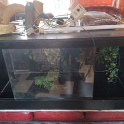 vivarium 4ft x2ft x2ft with heat bulb with temperature habitat and day bulb with control box all in pictures all cleaned and fully working with all excessiors two holes in top for the light fitment and vents at the side all ready for your new pet. 80.00 ono