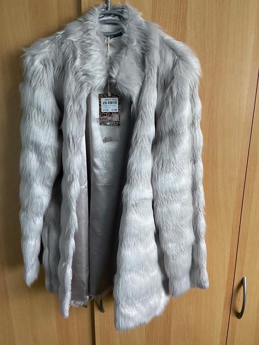 Buy & Sell Hampshire Basingstoke and Deane - Photos for Faux fur coat