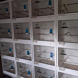 wooden block of 16 breeding cages 4×4
wooden dividers so they can be opened up to doubles or full rows all accessories included £160
height 63 inc length 71 inc depth 1ft


wooden block of 12 breeding cages which can be opened up to full rows all accessories included £140
height 63 inc length 55 inc depth 1ft.